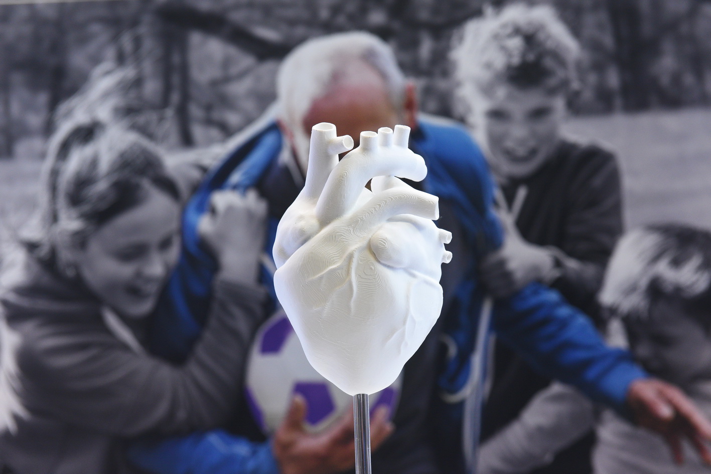 Medical model of a heart at British Cardiovascular Society congress 2025